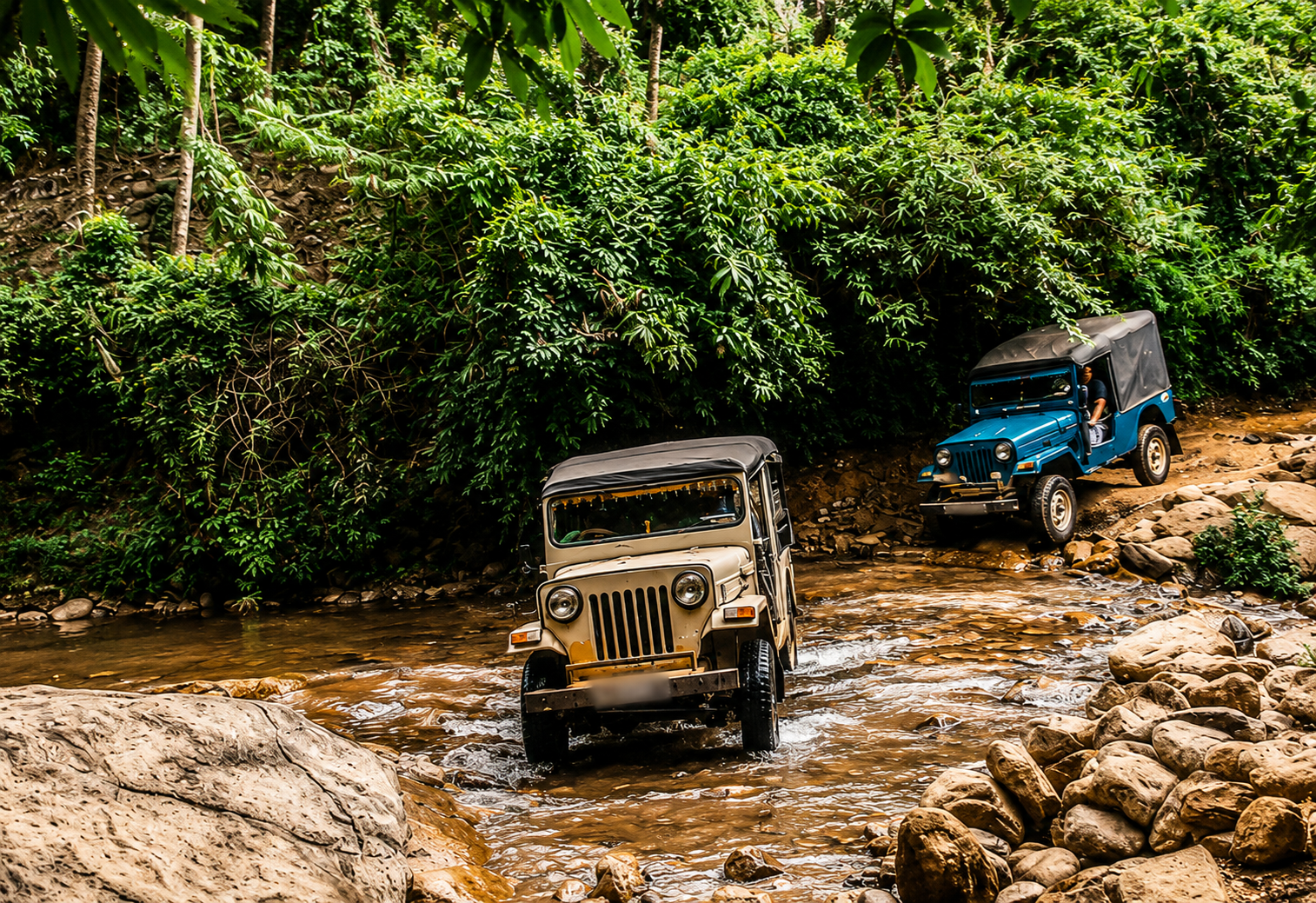 Jeep Safari